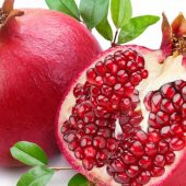 Tüplü Özel Nar Fidanı Paketi - 1