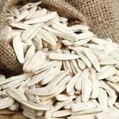 Doğal Geleneksel Beyaz Çerezlik Çitlemelik Ayçiçeği Fidesi (5 adet) - 2