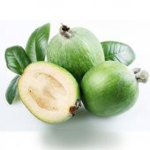 Tüplü Nadir Bulunan Feijoa (Kaymak) Ağacı Fidanı - 1