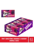First Sensations Ahududu & Karadut Aromalı Sakız 27 gr - 12 Adet - 2