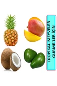 fresh in city 2 büyük avokado 1 mango 1 ananas 1 hindistan cevizi tropikal lezzetler sepeti - 1