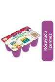 Danone Danino Orman Meyveli 6X40 G ( ACTİVİA ÇİLEKLİ 4 * 100 GRAM HEDİYE ) - 1