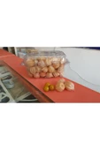 Tropikmeyvelerim Altın Çilek Meyvesi (physalis Peruviana) 100 Gr - 1