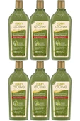 Dalan D’olive Zeytinyağlı Renk Koruyucu Şampuan 400 Ml 6 Adet - 1