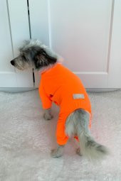 Pinkpati TLM1003 Köpek ve Kedi Kıyafeti Tulum - 3