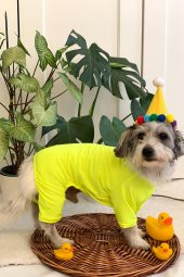 Pinkpati TLM1003 Köpek ve Kedi Kıyafeti Tulum - 6