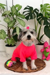 Pinkpati TLM1003 Köpek ve Kedi Kıyafeti Tulum - 9