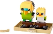 LEGO 40443 Brickheadz Budgie Muhabbet Kuşları - 2