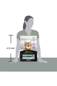 Pro Plan Sterilised 7+ Yasli Kedi Maması 3 Kg - 5
