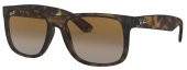 Ray-Ban RB4165 865/T5 54 Polarize Unisex Güneş Gözlügü - 1