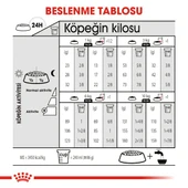 Royal Canin Mini Sterilised Kısırlaştırılmış Köpekler için Yetişkin Köpek Maması 3kg - 2