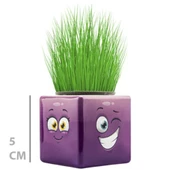 Periboia Çim Adam Mini Küp Emoji Figürlü 1 Adet - 2
