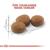 Royal Canin Sterilised Yetişkin Kısırlaştırılmış Kedi Maması 2 Kg - 4