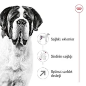 Royal Canin Giant Adult Dev Irk Yetişkin Köpek Maması 15 Kg - 6