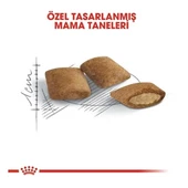 Royal Canin Ageing +12 Yaşlı Kedi Maması 2 Kg - 4