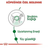 Royal Canin Adult Mini Gravy Pouch Köpek Konserve Maması 85 Gr thumbnail 3