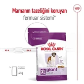 Royal Canin Giant Adult Dev Irk Yetişkin Köpek Maması 15 Kg - 3