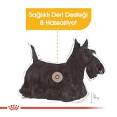 Royal Canin Mini Dermacomfort Yetişkin Köpek Maması 3 Kg - 3