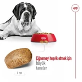 Royal Canin Giant Adult Dev Irk Yetişkin Köpek Maması 15 Kg - 4