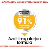 Royal Canin Mini Dermacomfort Yetişkin Köpek Maması 3 Kg - 4