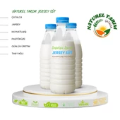 JERSEY İNEK SÜT - 1