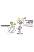 Sleepy Ecologic Premium Plus Hijyenik Gece Ped 18 Adet - 4