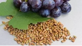 Üzüm Çekirdeği 400 GR Yeni Mahsül (KATKISIZ ) - 1