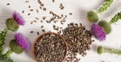 Deve Dikeni Tohumu 1 KG Taze Yeni Mahsül (KATKISIZ) - 1