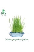 Vet's Plus %100 Doğal Fileli Kedi Çimi (Tüy Yumağı Önleyici) - 2