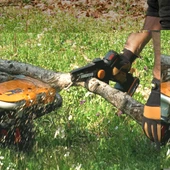 WORX WG325E 20Volt 2.0Ah Li-ion 12CM Profesyonel Şarjlı Kömürsüz Zincirli Testere - 5