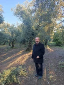 Mehmet İnan Natürel Sızma Zeytinyağı - 5