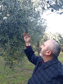 Mehmet İnan Natürel Sızma Zeytinyağı - 9
