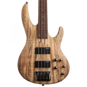 ESP LTD B-204 Spalted Maple Natural Bas Gitar - 1