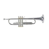 Roy Benson TR-CGS Charlie Green Signature Trompet - 1