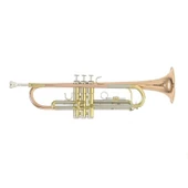 Roy Benson TR-202G  Bb Trompet - 1