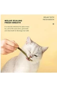 TİNEKE 6 Adet Doğal Meyve Aromalı Matatabi Çubuğu Catnip Stick Kedi Catnip Dalı   Gall-Fruıt-Stick - 2