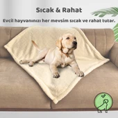 Beylini Kedi Köpek Battaniyesi Premium Peluş Evcil Hayvan Uyku Battaniyesi Yıkanabilir Krem 60x80 - 3