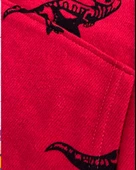 Dinozor Baskılı Kapüşonlu Erkek Çocuk Sweatshirt (Kırmızı) - 4