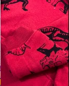 Dinozor Baskılı Kapüşonlu Erkek Çocuk Sweatshirt (Kırmızı) - 5