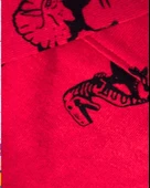 Dinozor Baskılı Kapüşonlu Erkek Çocuk Sweatshirt (Kırmızı) - 6