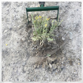 Dörtgen Bıçaklı Ot Sürme Arabası Ot Yolma Makinesi Ot Kesme Aleti Bahçe Ot Çim Biçme Kopartma Aracı - 2