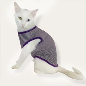 Purple Stripe Atlet By Kemique Kedi Kıyafeti Kedi Elbise - 2