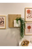 Egecan Mobilya Bohem Model Uçan Duvar Rafı Saksılık Çiçeklik İskandinav Duvar Saksısı - 3