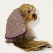 Purple Stripe by Kemique  Köpek Kıyafeti Köpek Elbise - 1