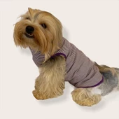 Purple Stripe by Kemique  Köpek Kıyafeti Köpek Elbise - 2