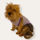 Purple Stripe by Kemique  Köpek Kıyafeti Köpek Elbise - 9