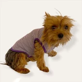 Purple Stripe by Kemique  Köpek Kıyafeti Köpek Elbise - 6