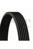 CONTITECH KAYIS (MERCEDES OM611-646-648)6PK2260 - 1