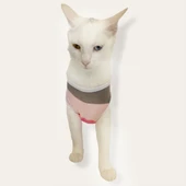 Mega Stripes Atlet  by Kemique  Kedi Kıyafeti Kedi Elbise - 3