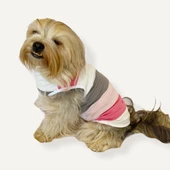 Mega Stripes Atlet by Kemique Köpek Kıyafeti  Köpek Elbise - 1